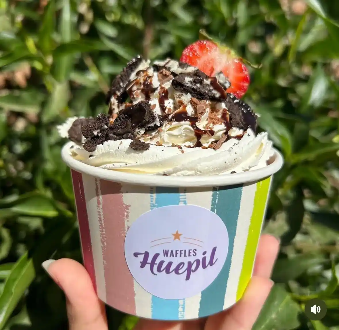 GARDENTRUCK Curacaví, galería foto 14