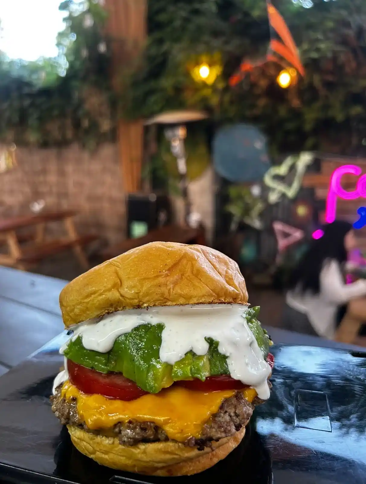 GARDENTRUCK Curacaví, galería foto 2