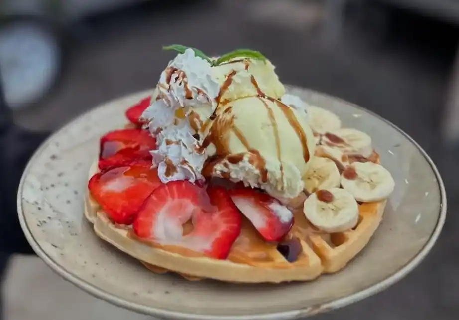 GARDENTRUCK Curacaví, galería foto 21