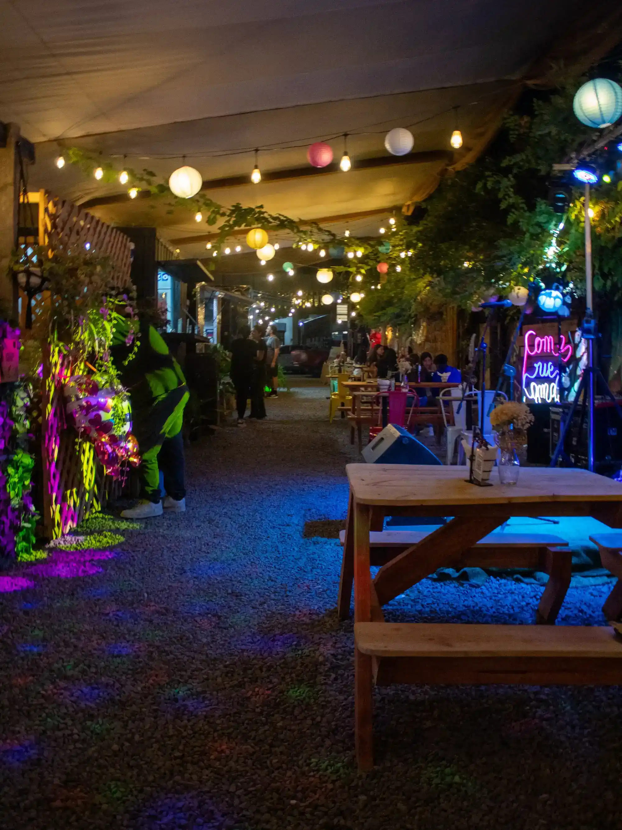 GARDENTRUCK Curacaví, galería foto 24